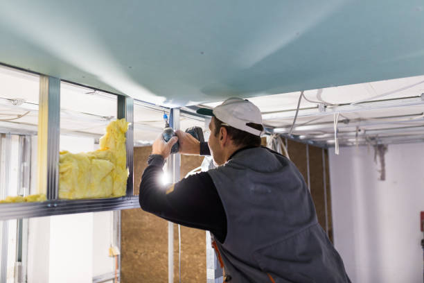 Best Types of Insulation in Westlake Vlage, IL